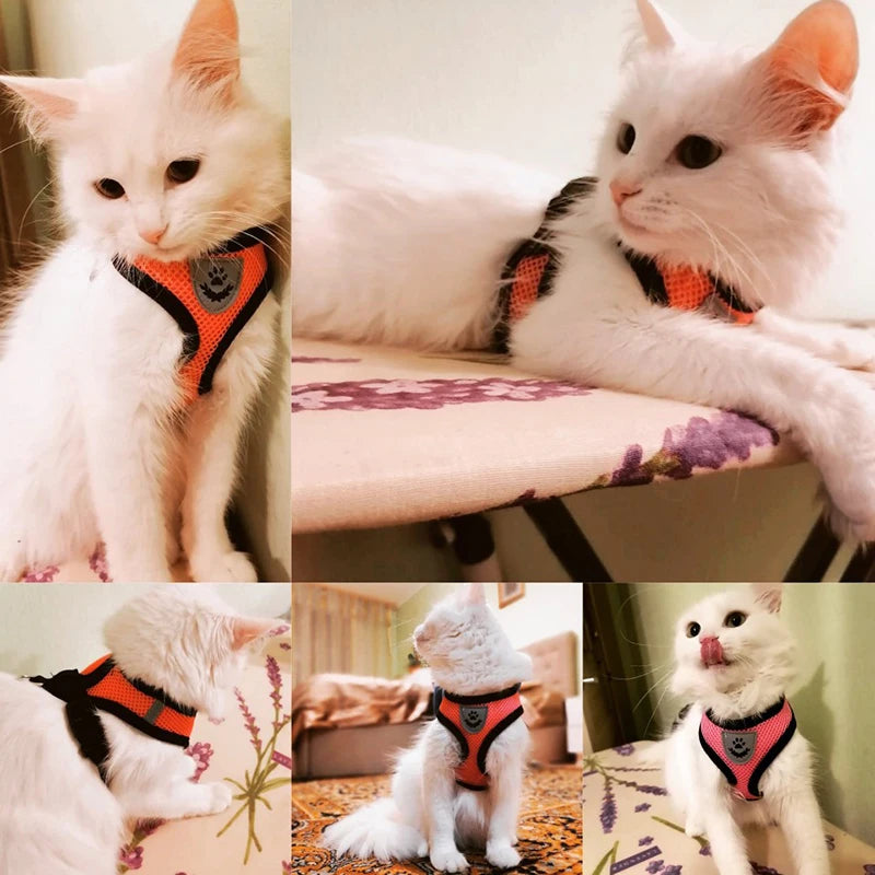 PawsEase™ Adjustable Mesh Harness