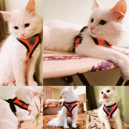 PawsEase™ Adjustable Mesh Harness