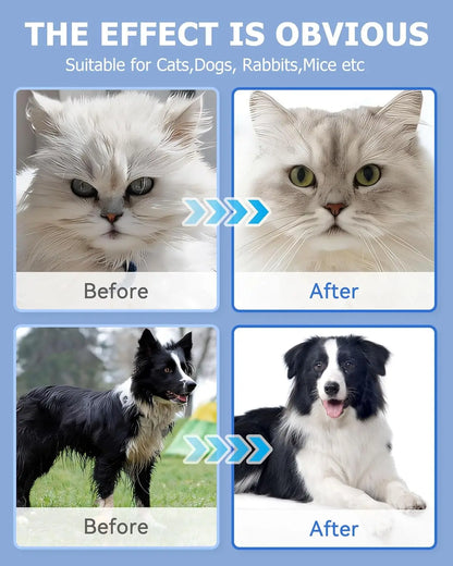 CleanPaws™ PET GLOVE WIPE