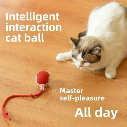 Wiggle Tailz™ The Ultimate Wiggle Toy for Pets