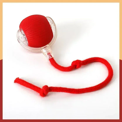 Wiggle Tailz™ The Ultimate Wiggle Toy for Pets