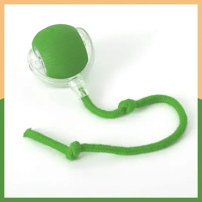 Wiggle Tailz™ The Ultimate Wiggle Toy for Pets