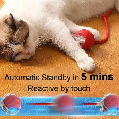 Wiggle Tailz™ The Ultimate Wiggle Toy for Pets