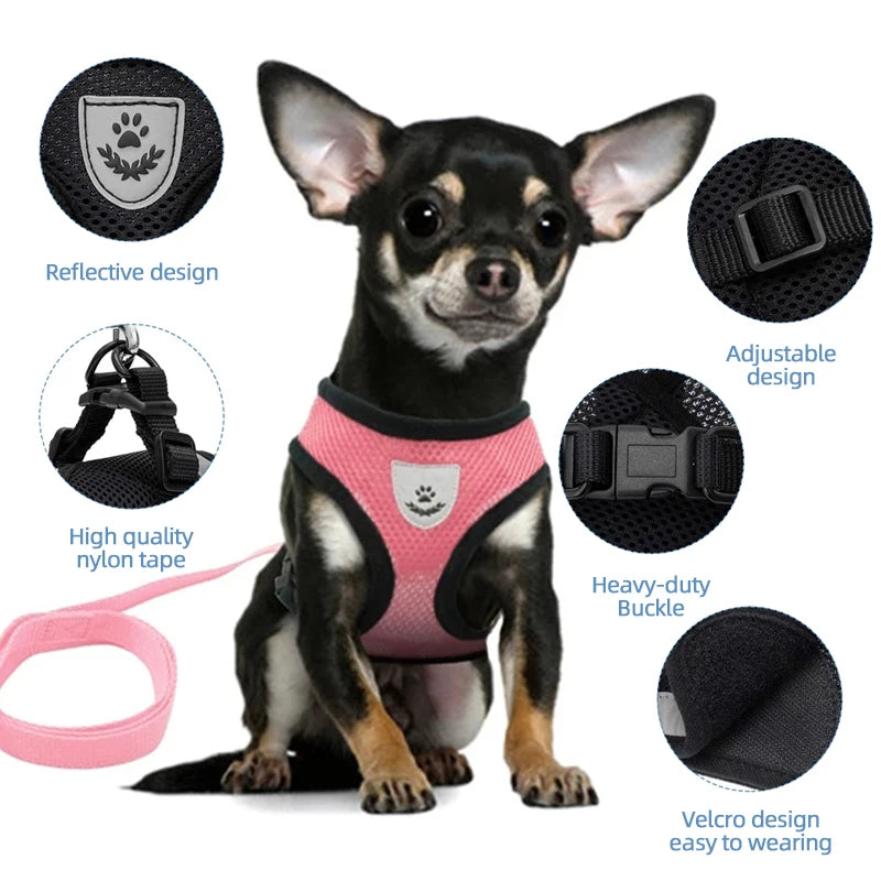 PawsEase™ Adjustable Mesh Harness