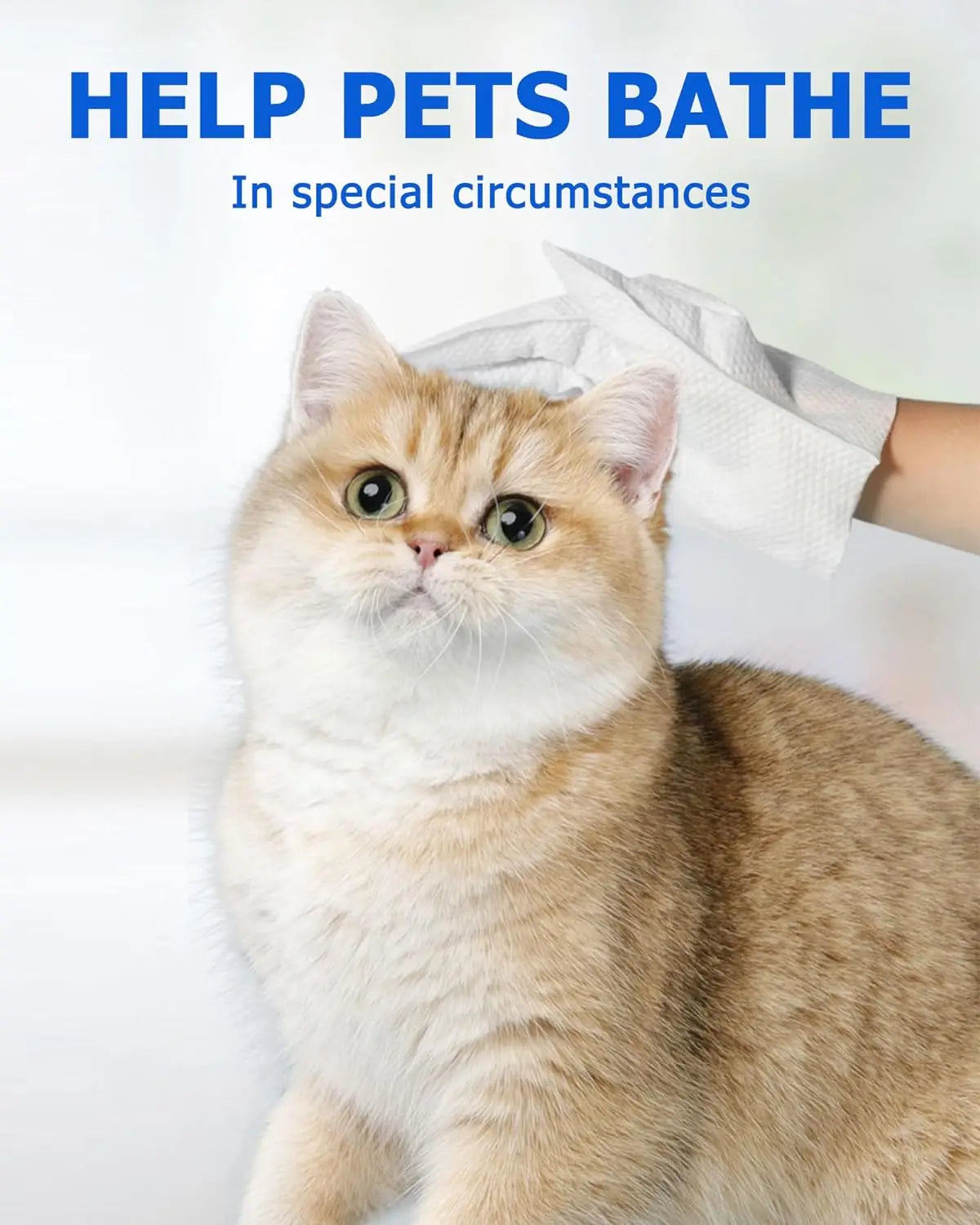 CleanPaws™ PET GLOVE WIPE