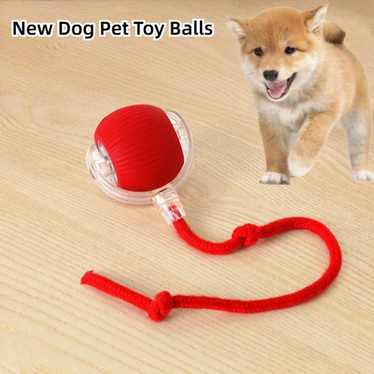Wiggle Tailz™ The Ultimate Wiggle Toy for Pets