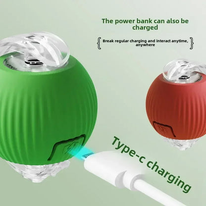Wiggle Tailz™ The Ultimate Wiggle Toy for Pets