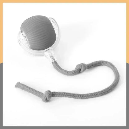 Wiggle Tailz™ The Ultimate Wiggle Toy for Pets